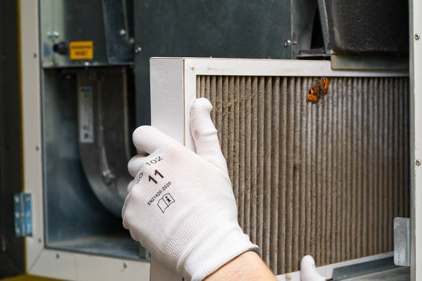 Best Affordable HVAC Duct Cleaning  in Collings Lakes, NJ
