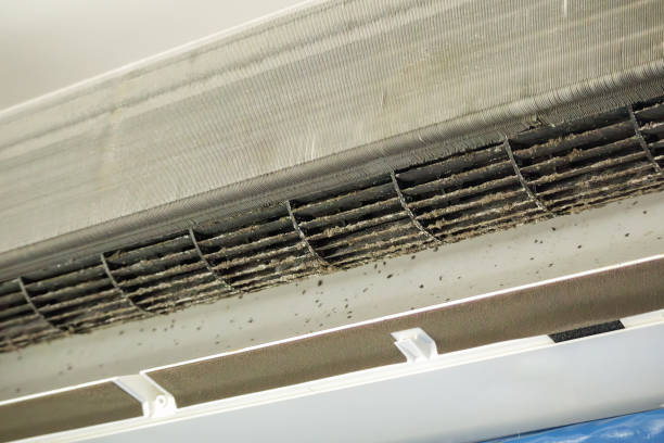 Best HVAC Air Duct Cleaning  in Collings Lakes, NJ